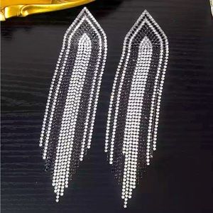 Long Fringe Crystal Earrings